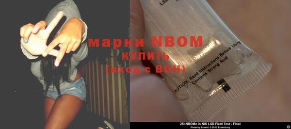 молекула духа Вязьма