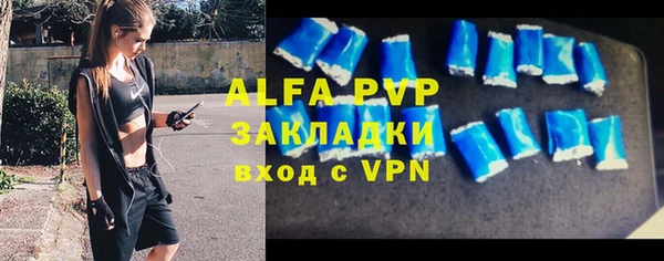 индика Семилуки