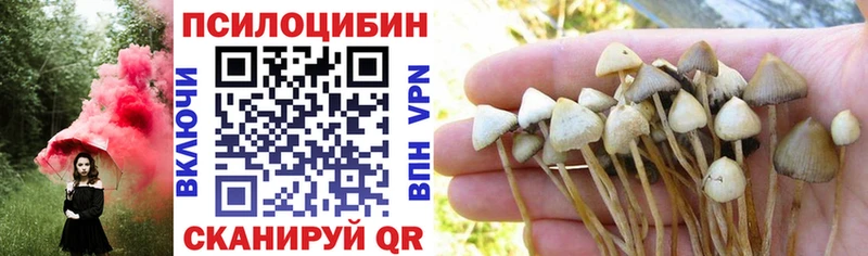 Галлюциногенные грибы GOLDEN TEACHER  блэк спрут рабочий сайт  darknet какой сайт  Набережные Челны 